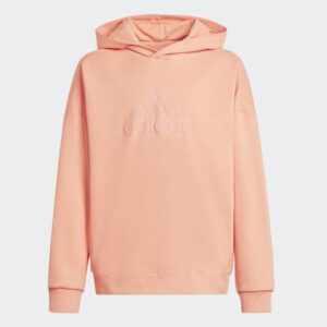 adidas Future Icons Logo Hooded Sweatshirt